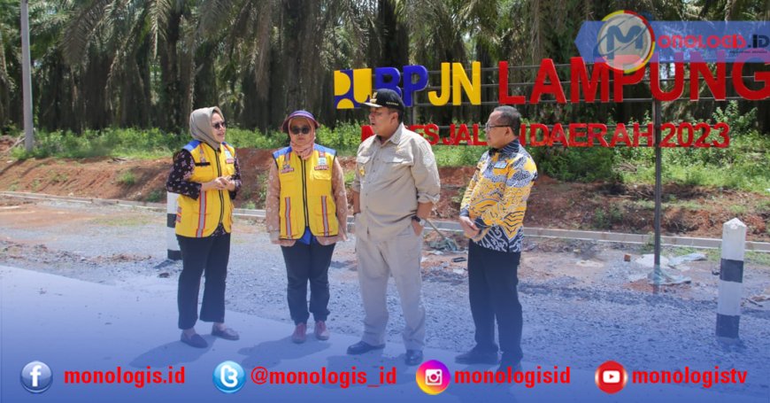 Gubernur Lampung Pantau Sejumlah jalan dan Jembatan di Mesuji