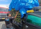 Puluhan Pickup Pangan Tertahan di Pelabuhan, Sopir Rugi Besar