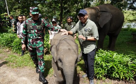 Prabowo Kucurkan Rp839 Miliar untuk Way Kambas