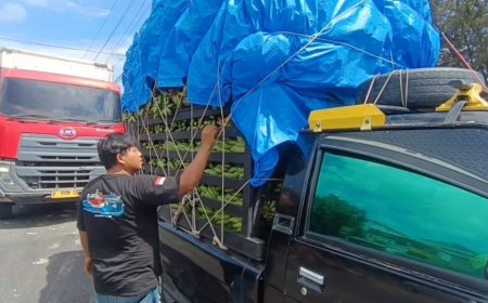 Puluhan Pickup Pangan Tertahan di Pelabuhan, Sopir Rugi Besar