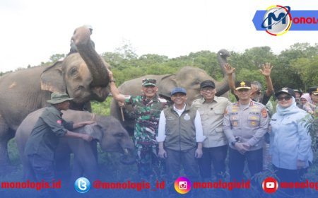 Solusi Permanen Konflik Gajah dan Manusia, Pemerintah Bangun Pembatas 138 Km di Way Kambas,