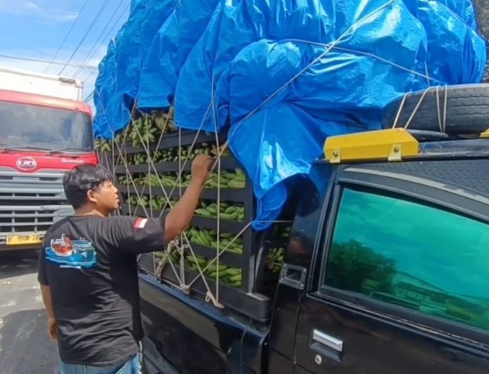 Puluhan Pickup Pangan Tertahan di Pelabuhan, Sopir Rugi Besar