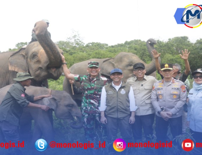 Solusi Permanen Konflik Gajah dan Manusia, Pemerintah Bangun Pembatas 138 Km di Way Kambas,