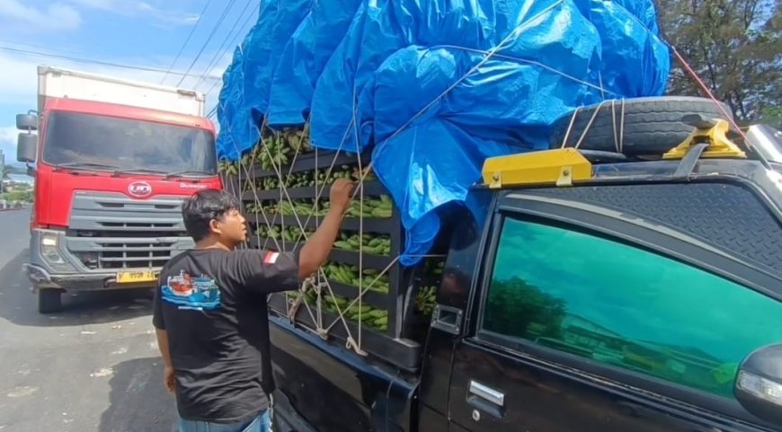 Puluhan Pickup Pangan Tertahan di Pelabuhan, Sopir Rugi Besar