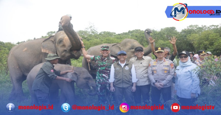Solusi Permanen Konflik Gajah dan Manusia, Pemerintah Bangun Pembatas 138 Km di Way Kambas,
