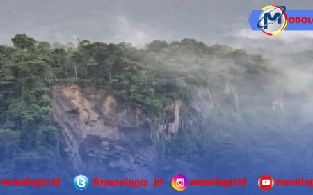 Hutan Lindung Gn Rajabasa Longsor, Pemerintah Diminta Tindakan Tegas Dan Mitigasi Bencana