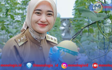 Sekolah Pertanian Lampung Panen Melon, Teknologi Jadi Kunci