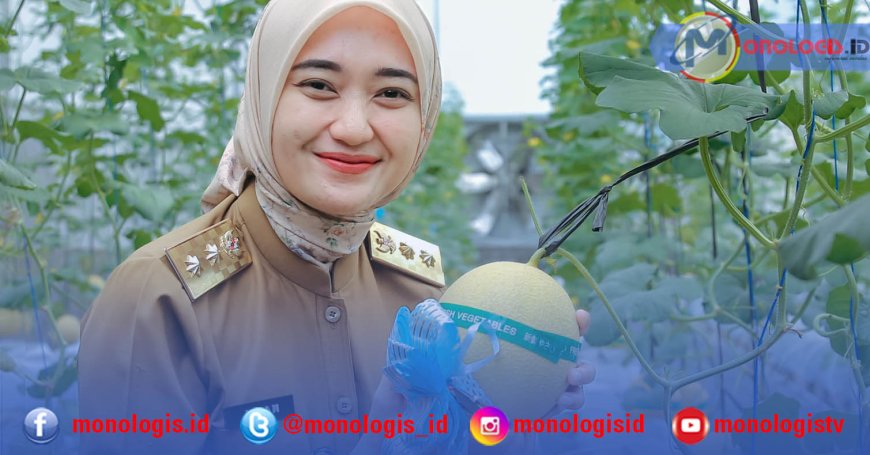 Sekolah Pertanian Lampung Panen Melon, Teknologi Jadi Kunci