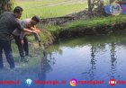 Bocah 8 Tahun Tewas Tenggelam di Kolam