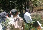 Dapur MBG Tiyuh Kagungan Ratu 2 Terancam Ditutup