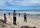 Wisatawan Asal Tulangbawang Hanyut di Pesibar