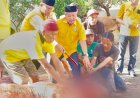 Golkar Lampung Sembelih 65 Hewan Kurban