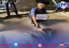 RM Minang Indah Grup, Bagikan 640 Paket Kurban Perkuat Kepedulian Sosial