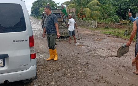 Wabup Tubaba Turun Perbaiki Jalan Rusak