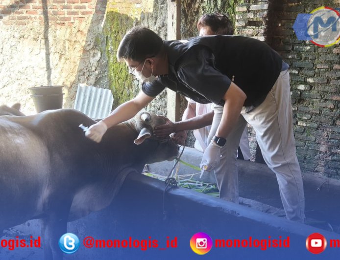 Jelang Idul Adha, Dinas Pertanian Bandar Lampung Vaksinasi Ternak