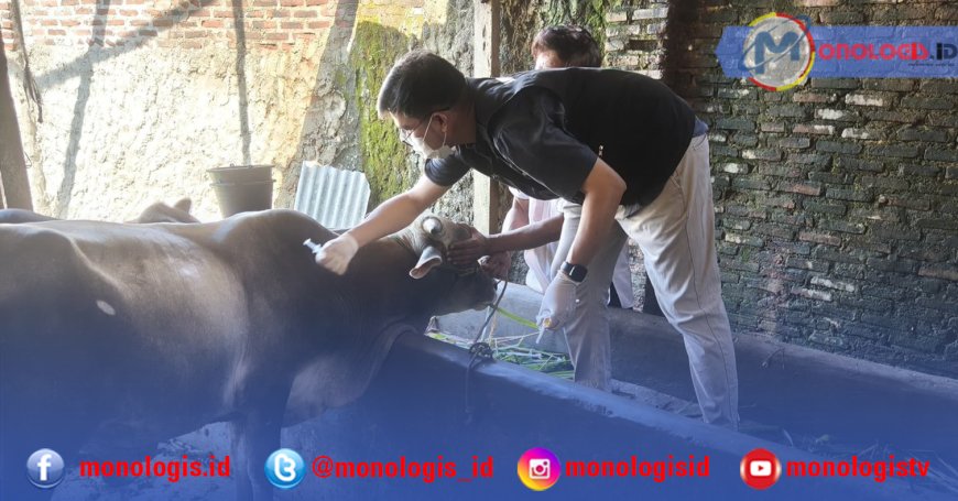 Jelang Idul Adha, Dinas Pertanian Bandar Lampung Vaksinasi Ternak