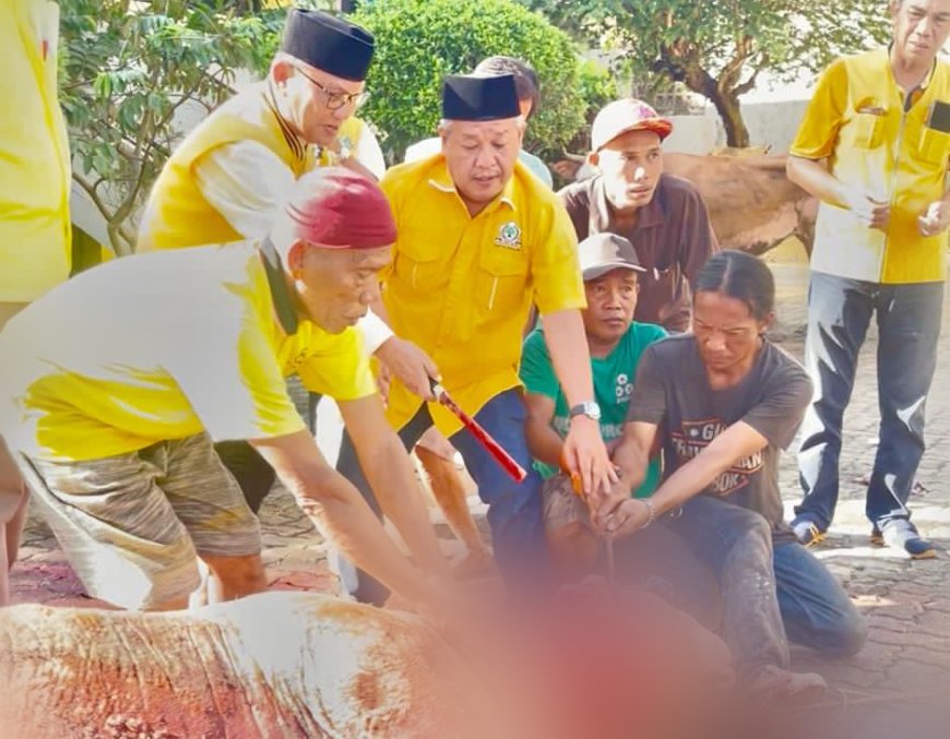 Golkar Lampung Sembelih 65 Hewan Kurban