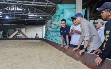 Mirza Tinjau Bed Dryer di Tulang Bawang, Dorong Hilirisasi Pertanian dan Kesejahteraan Petani