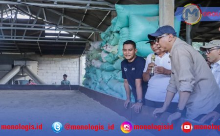 Mirza Tinjau Bed Dryer di Tulang Bawang, Dorong Hilirisasi Pertanian dan Kesejahteraan Petani