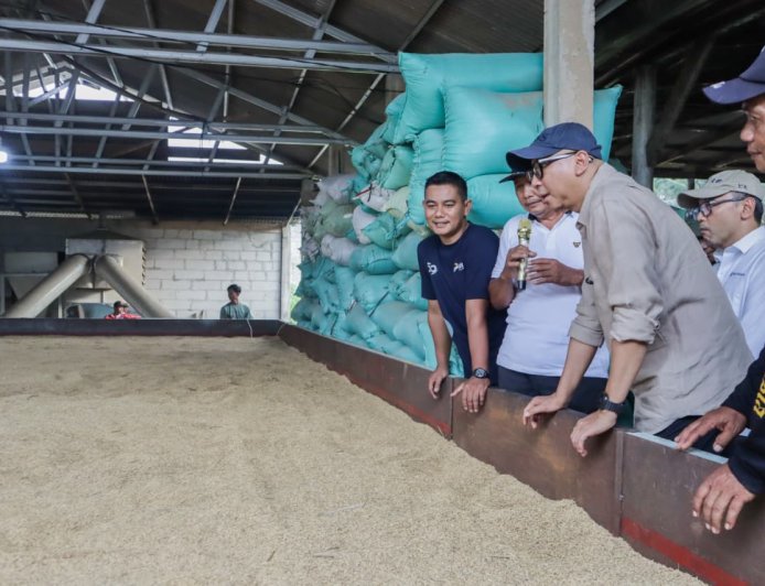 Mirza Tinjau Bed Dryer di Tulang Bawang, Dorong Hilirisasi Pertanian dan Kesejahteraan Petani