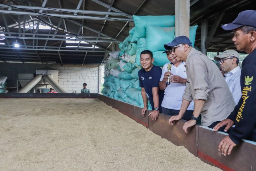 Mirza Tinjau Bed Dryer di Tulang Bawang, Dorong Hilirisasi Pertanian dan Kesejahteraan Petani