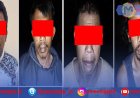 Empat Pelaku Pembantaian Tapir di Mesuji Dibekuk