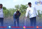 Pemkab Tubaba Percepat Lahan Sekolah Rakyat