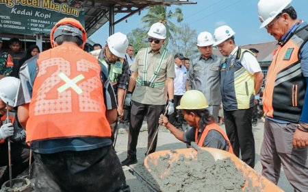 Mirza Tinjau Perbaikan Jalan Suoh