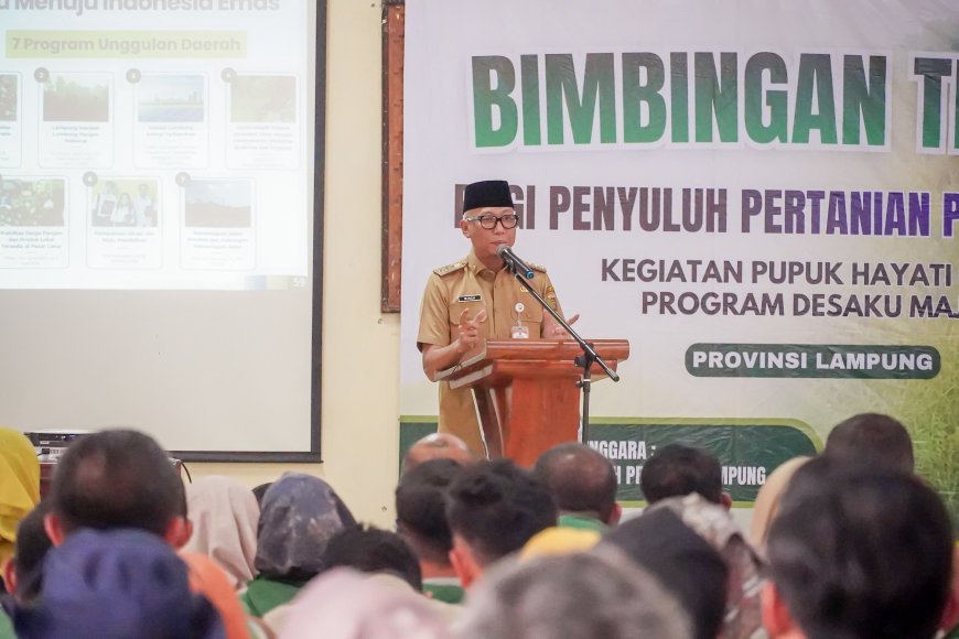 Gubernur Lampung Perkuat Pertanian Lewat Program Pupuk Hayati Cair dan Pelatihan Penyuluh
