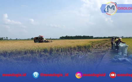BP Petani Jaya Kawal Panen Raya 220 Hektare di Mesuji