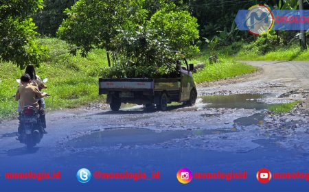LSM PRO RAKYAT: Perbaikan Jalan Way Muli-Rajabasa Jangan Tunggu Bencana