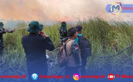Karhutla Way Kambas Capai 673 Hektare