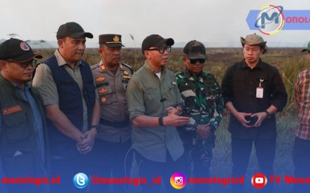 Pantau Kebakaran TN Way Kambas,  Gubernur Mirza Pastikan Api Tak Meluas