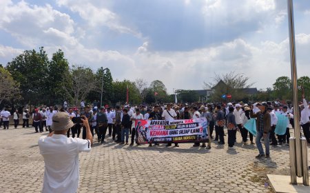 Ratusan Aparatur Tiyuh di Tubaba Demo, Tuntut Siltap 4 Bulan Segera Dibayar