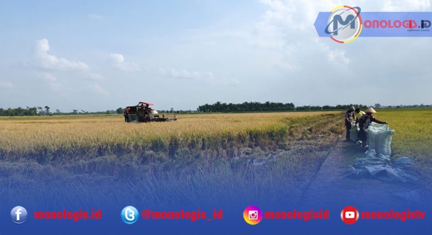 BP Petani Jaya Kawal Panen Raya 220 Hektare di Mesuji