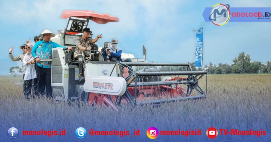 Panen Padi Lampung Tengah Tembus 11,2 Ton per Hektare