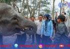 Karhutla TN Way Kambas Capai 6.984 Hektare