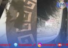 Abu Anak Krakatau Capai Pesisir Barat