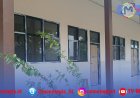 Revitalisasi SMAN 1 Panca Jaya Capai 80 Persen