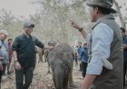 Mirza Dampingi Menhut Tinjau Mitigasi Konflik Gajah Way Kambas