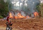 Rumah Janda di Lampung Utara Ludes Terbakar, Penghuni Selamat