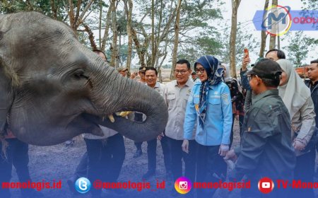 Karhutla TN Way Kambas Capai 6.984 Hektare