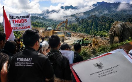 FORMASI Akan Laporkan Aktivitas Star Energy di TNBBS ke Pemerintah
