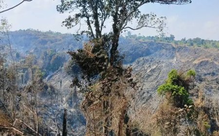 Karhutla di Pesisir Barat Hanguskan 5 Hektare Lahan