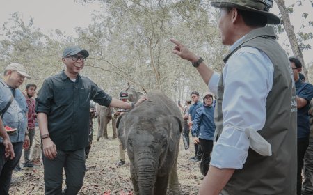 Mirza Dampingi Menhut Tinjau Mitigasi Konflik Gajah Way Kambas