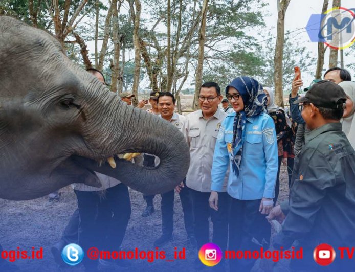 Karhutla TN Way Kambas Capai 6.984 Hektare