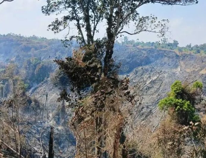 Karhutla di Pesisir Barat Hanguskan 5 Hektare Lahan