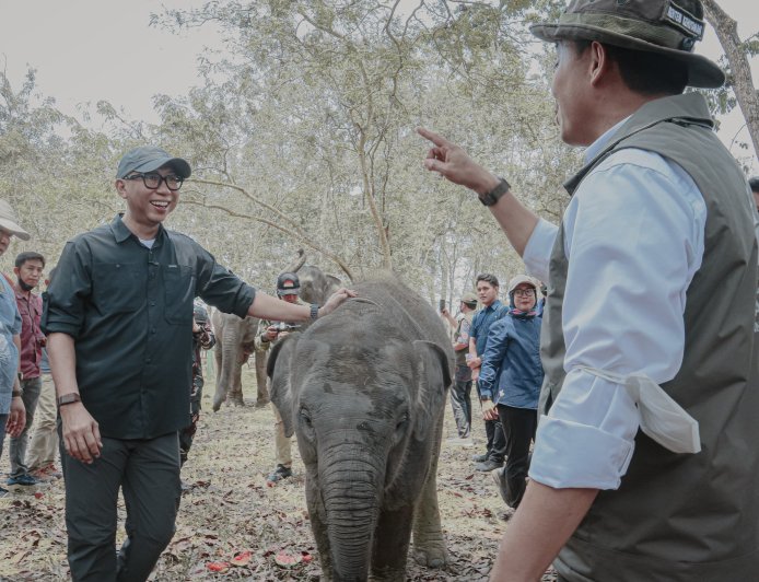 Mirza Dampingi Menhut Tinjau Mitigasi Konflik Gajah Way Kambas