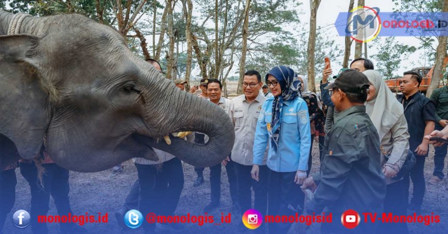 Karhutla TN Way Kambas Capai 6.984 Hektare