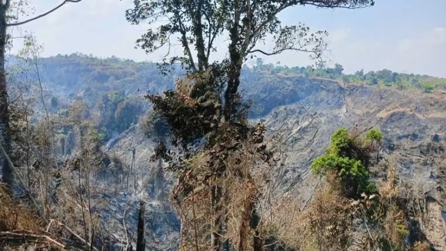 Karhutla di Pesisir Barat Hanguskan 5 Hektare Lahan
